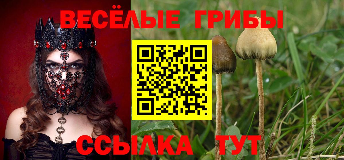 Псилоцибиновые грибы MAGIC MUSHROOMS Красноармейск